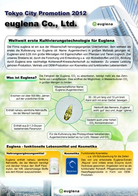 euglena